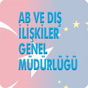 Avrupa Birliği ve Dış İlişkiler Genel Müdürlüğünün 22.01.2018 tarih ve 31407157 sayılı yazısı (Menşe İspat Belgelerinin Sonradan Kontrolü)