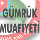4458 Sayılı Gümrük Kanununun Bazı Maddelerinin Uygulanması Hakkında Kararda Değişiklik Yapılmasına Dair Karar