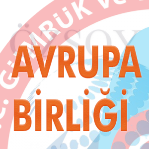 Uluslararası Anlaşmalar ve Avrupa Birliği Genel Müdürlüğünün 13.05.2019 tarihli ve 44309056 sayılı yazısı (Fransa Adres-Menşe Şahadetnameleri hk.)