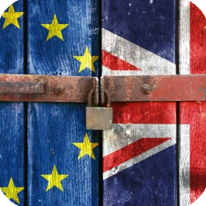 Büyük Britanya ve Kuzey İrlanda Birleşik Krallığının Avrupa Birliği ve Avrupa Atom Enerjisi Topluluğundan çekilmesi hakkında yönetmeliğinin gümrük işlemleri ile ilgili bölümü.